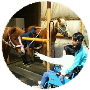 馬に手を差し出す車いすに乗った女の子と介助している女の子
